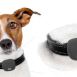 pet tracking