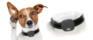 pet tracking